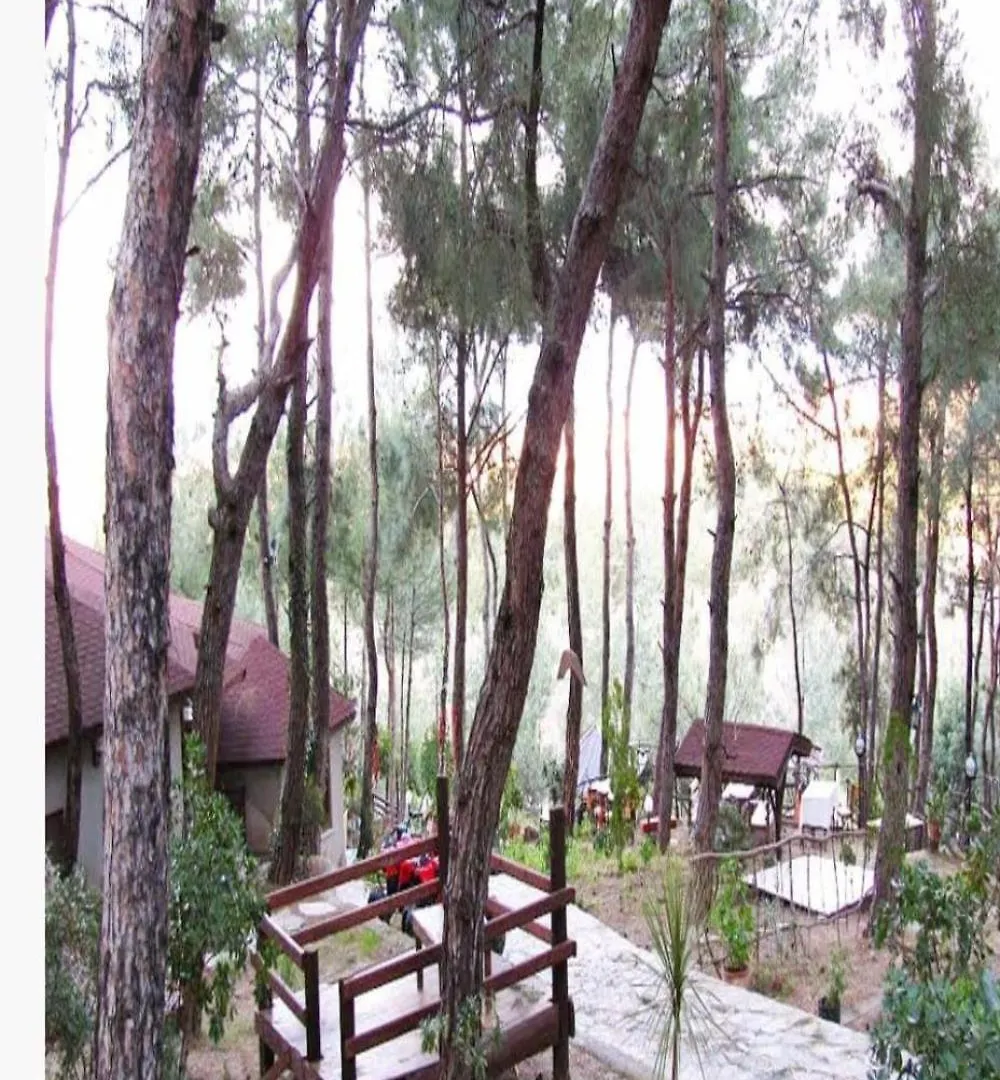 Five Bedroom Plus Living, Triplex Villa With Big Private Garden, Fifty Meters To Sea In Urla, Sleeps Twelve, Three Baths